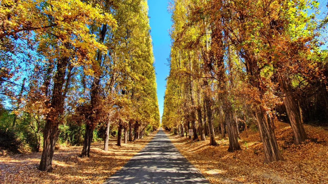 Termas El Corazon Ξενοδοχείο San Esteban Εξωτερικό φωτογραφία